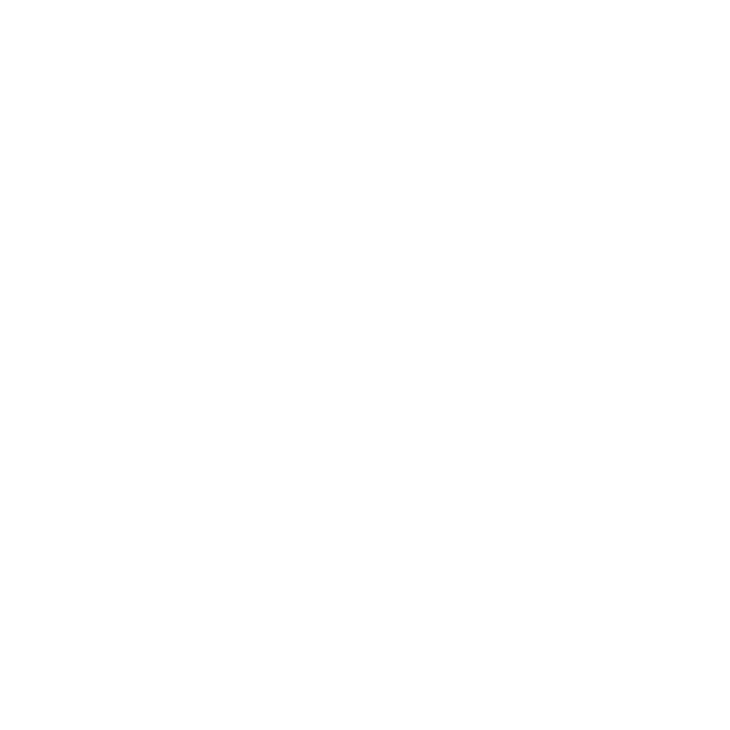 Vick Neo 2